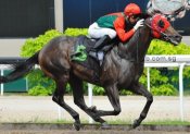 California Eagle brings up a winning treble for Joao Moreira on Friday.<br>Photo by Singapore Turf Club